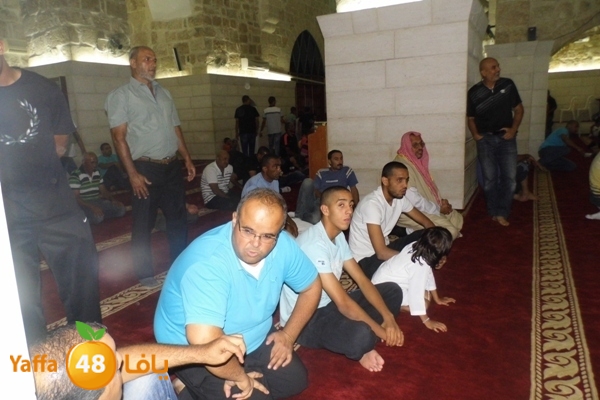 kaber trawe7 718 (2).JPG